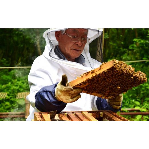 ふるさと納税 加工品等 はちみつ 新潟県 柏崎市  令和7年産・数量限定 国産 非加熱 純粋はちみつ 600g×2種類（アカシア蜜・黒花槐蜜）食べ比べセット 柏崎産 …の画像
