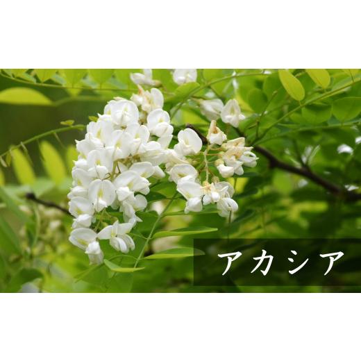 ふるさと納税 加工品等 はちみつ 新潟県 柏崎市  令和7年産・数量限定 国産 非加熱 純粋はちみつ 600g×2種類（アカシア蜜・黒花槐蜜）食べ比べセット 柏崎産 …の画像