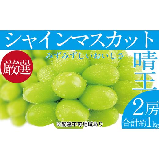 ふるさと納税 ぶどう マスカット 岡山県 瀬戸内市 ぶどう 2026年 先行予約 シャイン マスカット 晴王 2房（合計約1kg） ブドウ 葡萄 岡山県産 国産 フルーツ …の画像