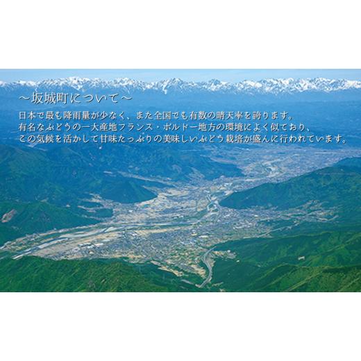ふるさと納税 長野県 坂城町 [No.5729-0460]シャインマスカット 4kg 