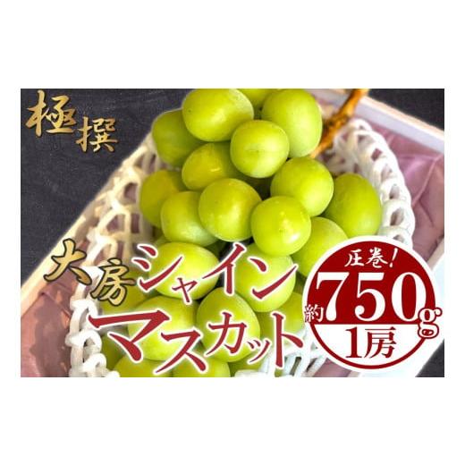 ふるさと納税 ぶどう マスカット 香川県 丸亀市 先行予約 大房 シャインマスカット 1房 約750g特大 大房 マスカット ぶどう 葡萄 ブドウ フルーツ 果物 くだも…