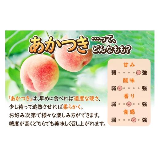 ふるさと納税 もも 秋田県 横手市 《先行受付 8月上旬より順次発送》夏の太陽をたくさん浴びた桃 あかつき 約3kg（9〜13玉前後）の画像