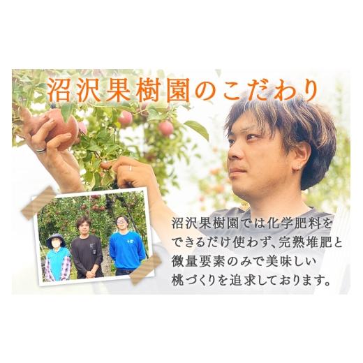 ふるさと納税 もも 秋田県 横手市 《先行受付 8月上旬より順次発送》夏の太陽をたくさん浴びた桃 あかつき 約3kg（9〜13玉前後）の画像