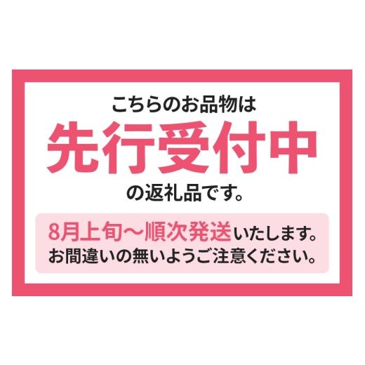 ふるさと納税 もも 秋田県 横手市 《先行受付 8月上旬より順次発送》夏の太陽をたくさん浴びた桃 あかつき 約3kg（9〜13玉前後）の画像