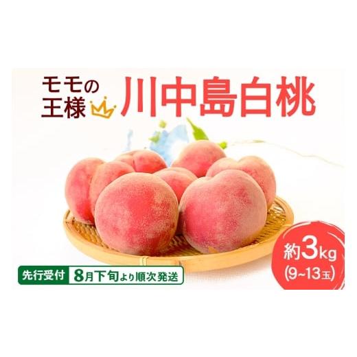ふるさと納税 もも 秋田県 横手市 《先行受付 8月下旬より順次発送》モモの王様 川中島白桃 約3kg（9〜13玉前後）の画像
