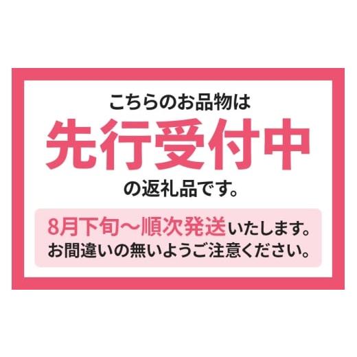 ふるさと納税 もも 秋田県 横手市 《先行受付 8月下旬より順次発送》モモの王様 川中島白桃 約3kg（9〜13玉前後）の画像