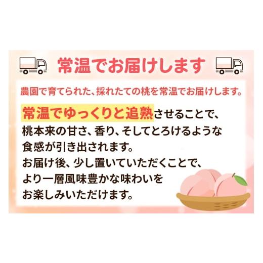 ふるさと納税 もも 秋田県 横手市 《先行受付 8月下旬より順次発送》モモの王様 川中島白桃 約3kg（9〜13玉前後）の画像