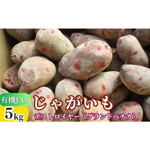 ふるさと納税 野菜類 じゃがいも 大分県 豊後高田市 先行予約 有機JASじゃがいも 5kg (グランドペチカ/デストロイヤー) 畑直送 約5kg(S~Lサイズ混合)