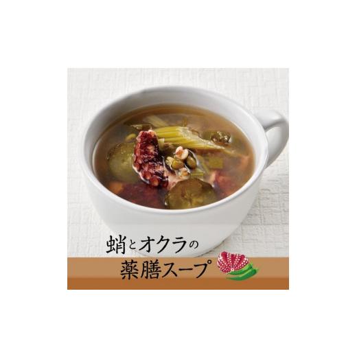 ふるさと納税 惣菜・レトルト 冷凍 愛知県 名古屋市 夏の養生セット　カンポウテーブル_4