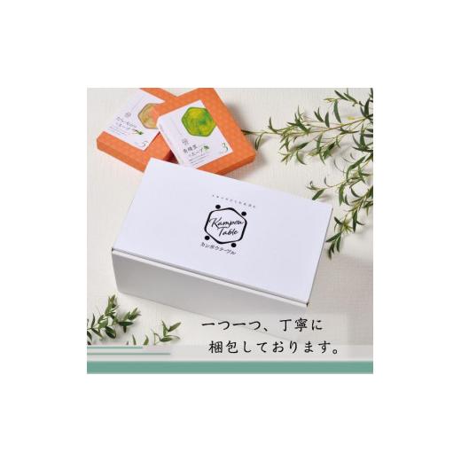 ふるさと納税 惣菜・レトルト 冷凍 愛知県 名古屋市 夏の養生セット　カンポウテーブル_8