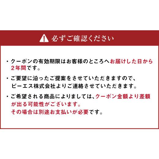 ふるさと納税 北海道 北広島市 ピーエスクーポン 10万円分×10枚 (カタログ3冊付き) 快適空間 電気ヒーター ヒーター 安全 暖房 冷房｜furusatochoice｜05