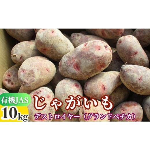 ふるさと納税 野菜類 じゃがいも 大分県 豊後高田市 先行予約 有機JASじゃがいも 10kg (グランドペチカ/デストロイヤー) 畑直送 約10kg(S~Lサイズ混合)