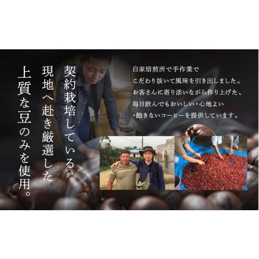 ふるさと納税 コーヒー コーヒー豆 岐阜県 下呂市  毎月 定期便 全6回 毎月のおすすめスペシャルティコーヒー 200g×4種＋ブレンド 200g×1種（計1kg）×6回分…の画像