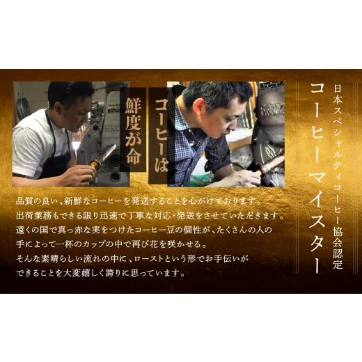 ふるさと納税 コーヒー コーヒー豆 岐阜県 下呂市  毎月 定期便 全6回 毎月のおすすめスペシャルティコーヒー 200g×4種＋ブレンド 200g×1種（計1kg）×6回分…の画像