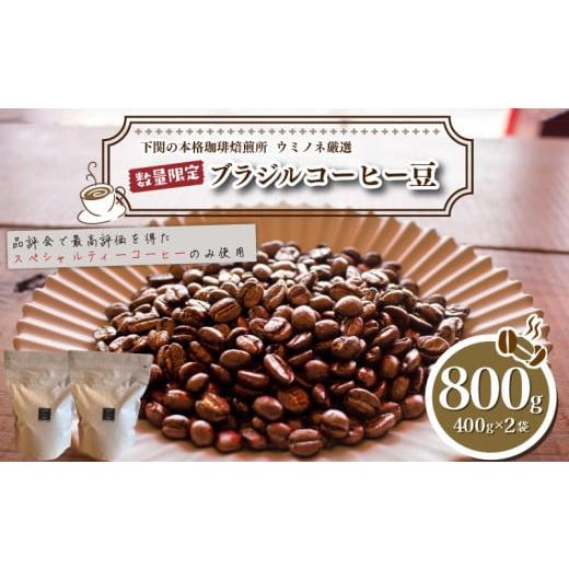 ふるさと納税 コーヒー 飲料 山口県 下関市 細挽き 訳あり コーヒー豆 800g ( 400g × 2袋 ) 数量限定 ブラジル 珈琲 自家焙煎 下関 山口 再入荷 2024年度入…