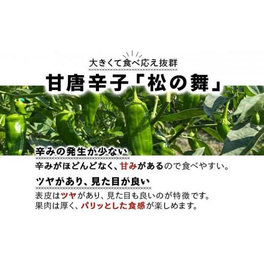 ふるさと納税 セット・詰合せ 北海道 伊達市 5525-0833 伊達 ふるさと納税 セット・詰合せ 北海道 伊達市 5525-0833 伊達