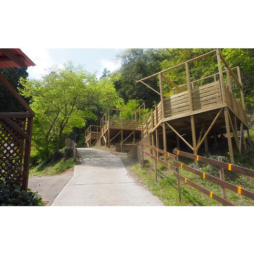 ふるさと納税 埼玉県 皆野町 満願ビレッジオートキャンプ場　施設利用券　10000円 