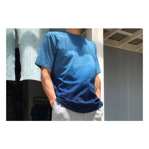 ふるさと納税 徳島県 鳴門市 ナチュラルインディゴ グラデーション コットンTシャツ Lサイズ Lサイズ