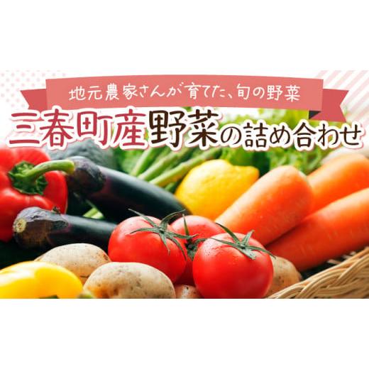ふるさと納税 セット・詰合せ 福島県 三春町  旬の野菜 三春町産野菜の詰合せ 約10〜15kg 季節野菜 7〜8種類 セット 詰め合わせ アスパラ 玉ねぎ 新鮮 厳選 国…の画像
