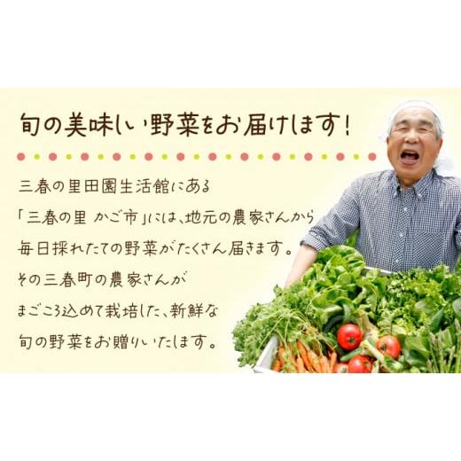 ふるさと納税 セット・詰合せ 福島県 三春町  旬の野菜 三春町産野菜の詰合せ 約10〜15kg 季節野菜 7〜8種類 セット 詰め合わせ アスパラ 玉ねぎ 新鮮 厳選 国…の画像