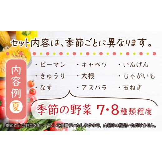 ふるさと納税 セット・詰合せ 福島県 三春町  旬の野菜 三春町産野菜の詰合せ 約10〜15kg 季節野菜 7〜8種類 セット 詰め合わせ アスパラ 玉ねぎ 新鮮 厳選 国…の画像