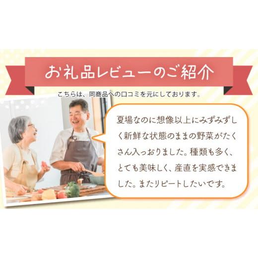 ふるさと納税 セット・詰合せ 福島県 三春町  旬の野菜 三春町産野菜の詰合せ 約10〜15kg 季節野菜 7〜8種類 セット 詰め合わせ アスパラ 玉ねぎ 新鮮 厳選 国…の画像
