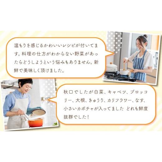 ふるさと納税 セット・詰合せ 福島県 三春町  旬の野菜 三春町産野菜の詰合せ 約10〜15kg 季節野菜 7〜8種類 セット 詰め合わせ アスパラ 玉ねぎ 新鮮 厳選 国…の画像