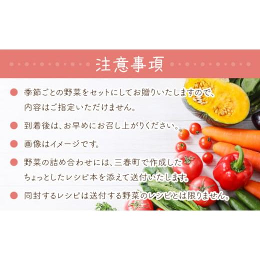 ふるさと納税 セット・詰合せ 福島県 三春町  旬の野菜 三春町産野菜の詰合せ 約10〜15kg 季節野菜 7〜8種類 セット 詰め合わせ アスパラ 玉ねぎ 新鮮 厳選 国…の画像