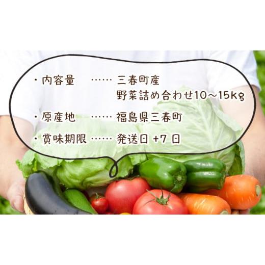 ふるさと納税 セット・詰合せ 福島県 三春町  旬の野菜 三春町産野菜の詰合せ 約10〜15kg 季節野菜 7〜8種類 セット 詰め合わせ アスパラ 玉ねぎ 新鮮 厳選 国…の画像