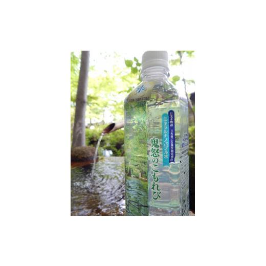 ふるさと納税 水・ミネラルウォーター 500mL〜999mL 栃木県 日光市
