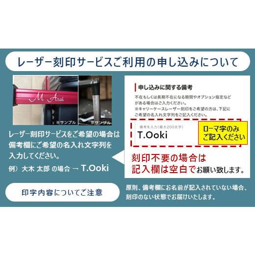 ふるさと納税 福岡県 大木町 [Proevo -CORE LINE-] フロントオープン フレームキャリー 機内持ち込み対応 ストッパー付き 8輪 S （マーガリンイエロー） [1200…｜furusatochoice｜10