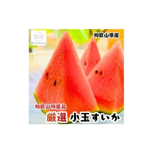 ふるさと納税 スイカ 和歌山県 かつらぎ町 農家直送 厳選 小玉すいか Mサイズ/1玉入り 2027年6月上旬〜6月下旬(順次発送予定) 先行予約