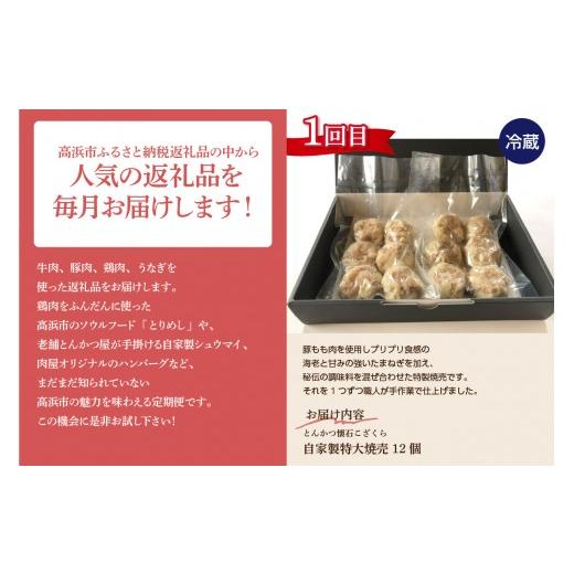 ふるさと納税 牛肉 ハンバーグ 愛知県 高浜市 全５回毎月お届け 肉とうなぎの贅沢定期便（牛肉・豚肉・鶏肉・うなぎ）_200-215-2_2