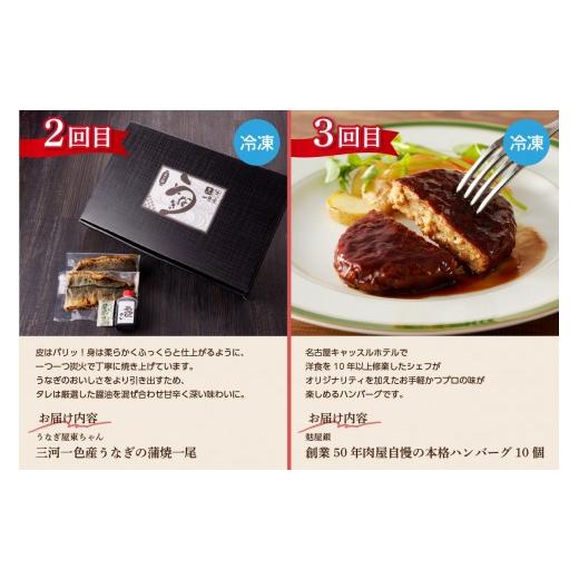 ふるさと納税 牛肉 ハンバーグ 愛知県 高浜市 全５回毎月お届け 肉とうなぎの贅沢定期便（牛肉・豚肉・鶏肉・うなぎ）_200-215-2_3