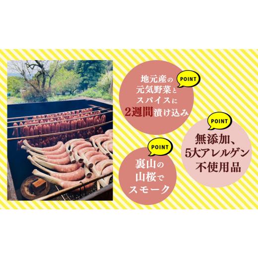 ふるさと納税 奈良県 五條市 ばあく豚 ソーセージ詰め合わせセット | 肉 にく ニク ソーセージ 豚 ぶた 金剛山麓  お肉 五條市 手作り 無添加奈良県 五條市｜furusatochoice｜06