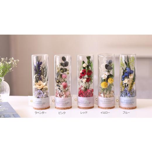 ふるさと納税 雑貨・日用品 花 徳島県 鳴門市 プリザーブドフラワー リオン(ラベンダー) ラベンダー