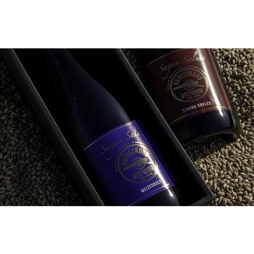 ふるさと納税 佐賀県 佐賀市 佐賀のクラフトビール〈サガン・サリュート〉 2本組：B021-009 