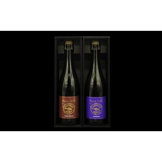 ふるさと納税 佐賀県 佐賀市 佐賀のクラフトビール〈サガン・サリュート〉 2本組：B021-009 