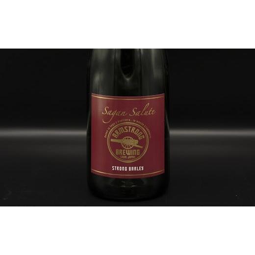 ふるさと納税 佐賀県 佐賀市 佐賀のクラフトビール〈サガン・サリュート〉 2本組：B021-009 