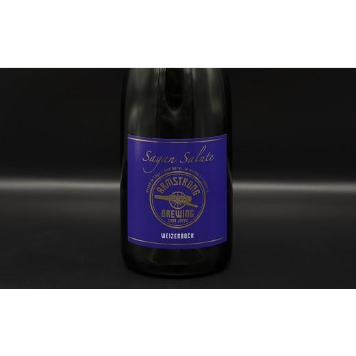 ふるさと納税 佐賀県 佐賀市 佐賀のクラフトビール〈サガン・サリュート〉 2本組：B021-009 