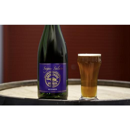 ふるさと納税 佐賀県 佐賀市 佐賀のクラフトビール〈サガン・サリュート〉 2本組：B021-009 