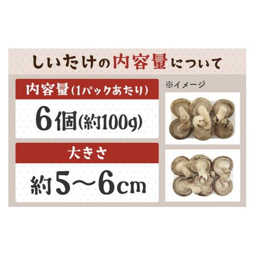 ふるさと納税 野菜類 きのこ 秋田県 横手市 しいたけ A品 6M（約100g）×30パック_4