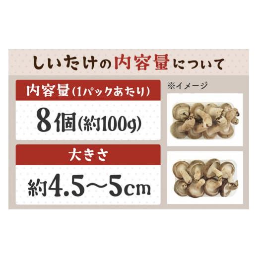 ふるさと納税 野菜類 きのこ 秋田県 横手市 しいたけ A品 8M（約100g）×30パック_4