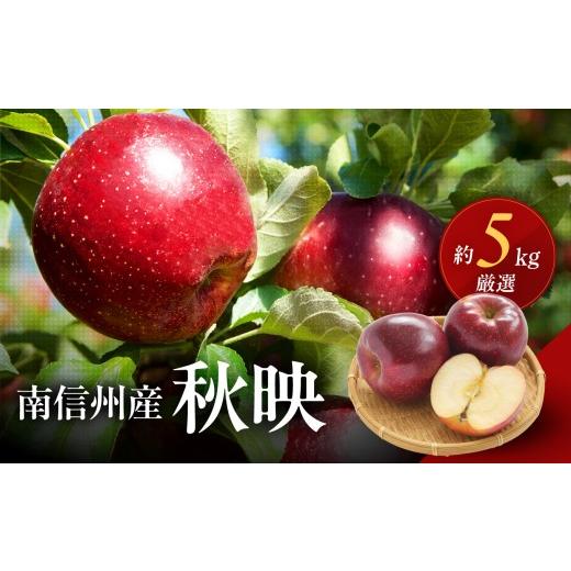 ふるさと納税 りんご 長野県 飯田市 長野県産 りんご 秋映 約5kg 2026年9月下旬〜10月下旬発送 | りんご リンゴ 林檎 秋映 果物 くだもの フルーツ 新鮮 長野…