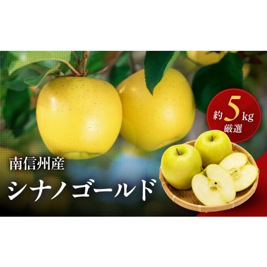 ふるさと納税 りんご 長野県 飯田市 南信州産 りんご シナノゴールド 約5kg 2026年10月中旬〜11月上旬発送 | りんご リンゴ 林檎 シナノゴールド 果物 くだも…