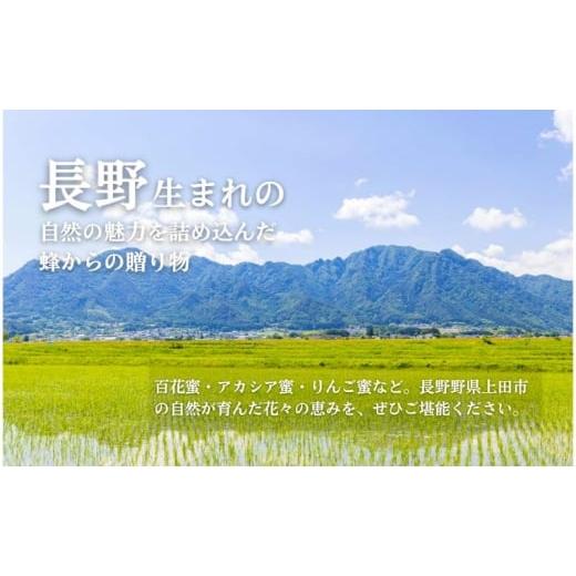 ふるさと納税 加工品等 はちみつ 長野県 上田市 国産生はちみつ アカシア・リンゴ600g 2本セット No.5312-0600の画像