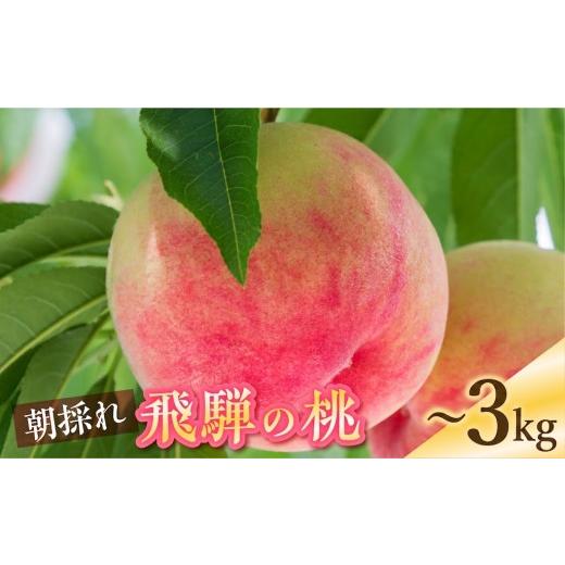 ふるさと納税 もも 岐阜県 飛騨市 5営業日で発送 朝採れ飛騨のこだわり桃 秀品 10玉 3キロ 黒内果樹園 / 桃 もも モモ 3kg 果物 フルーツ お取り寄せ もも …