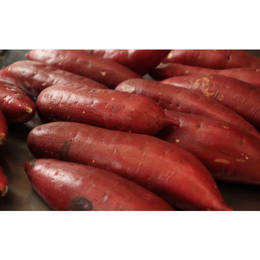 ふるさと納税 野菜類 サツマイモ 千葉県 我孫子市 材木屋さんの薪を使用 本格石焼き芋 紅はるか 約2kg《30日以内に出荷予定(土日祝除く)》の画像