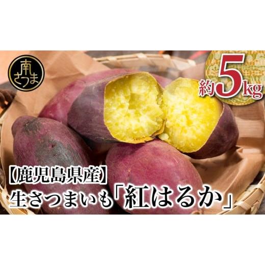 ふるさと納税 野菜類 サツマイモ 鹿児島県 南さつま市 12月発送開始 鹿児島県産生さつまいも 「紅はるか」約5kg さつまいも 焼き芋 さつま芋 甘藷 サツマイモ…