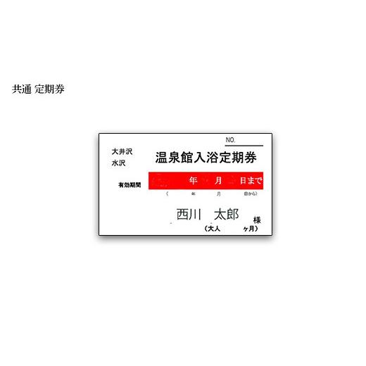 ふるさと納税 山形県 西川町 FYN9-805 水沢温泉館 大井沢温泉館 共通定期券（1ヶ月） 